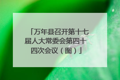 万年县召开第十七届人大常委会第四十四次会议（图）