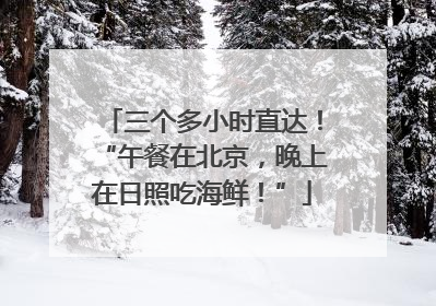 三个多小时直达！“午餐在北京，晚上在日照吃海鲜！”
