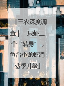 三农深度调查｜一只虾三个“转身”，鱼台小龙虾消费季升级