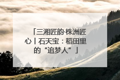 三湘匠韵·株洲匠心丨石天宝：稻田里的“追梦人”