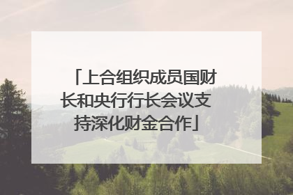 上合组织成员国财长和央行行长会议支持深化财金合作