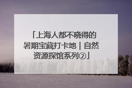 上海人都不晓得的 暑期宝藏打卡地｜自然资源探馆系列②