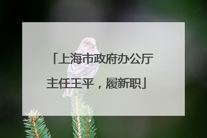 上海市政府办公厅主任王平，履新职