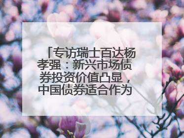 专访瑞士百达杨孝强：新兴市场债券投资价值凸显，中国债券适合作为“稳定器”