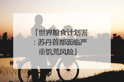 世界粮食计划署：苏丹首都面临严重饥荒风险