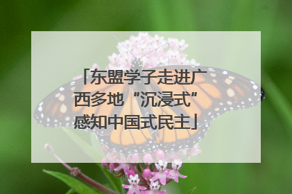东盟学子走进广西多地“沉浸式”感知中国式民主