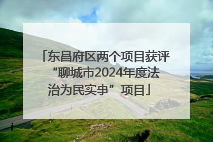 东昌府区两个项目获评“聊城市2024年度法治为民实事”项目