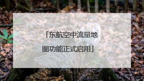 东航空中流量地图功能正式启用