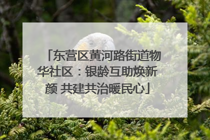 东营区黄河路街道物华社区：银龄互助焕新颜 共建共治暖民心