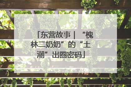 东营故事｜“槐林二奶奶”的“土潮”出圈密码