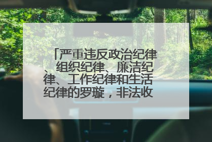 严重违反政治纪律、组织纪律、廉洁纪律、工作纪律和生活纪律的罗璇，非法收受他人巨额财物