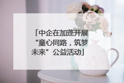 中企在加蓬开展“童心同路，筑梦未来”公益活动