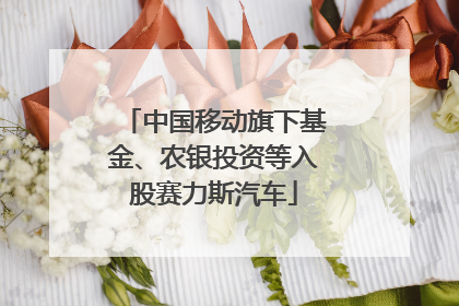 中国移动旗下基金、农银投资等入股赛力斯汽车