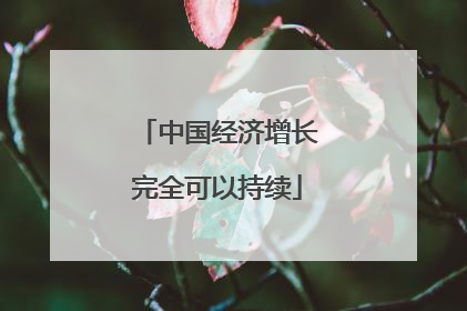 中国经济增长完全可以持续