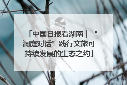 中国日报看湖南｜“洞庭对话”践行文旅可持续发展的生态之约