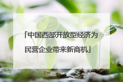 中国西部开放型经济为民营企业带来新商机