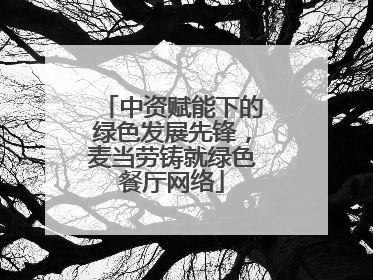 中资赋能下的绿色发展先锋，麦当劳铸就绿色餐厅网络