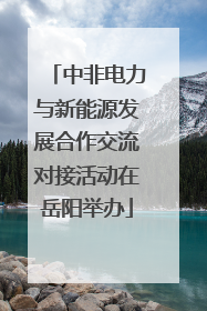 中非电力与新能源发展合作交流对接活动在岳阳举办
