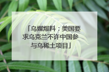 乌媒爆料：美国要求乌克兰不许中国参与乌稀土项目