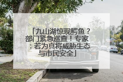 九山湖惊现鳄鱼？部门紧急巡查！专家：若为真将威胁生态与市民安全