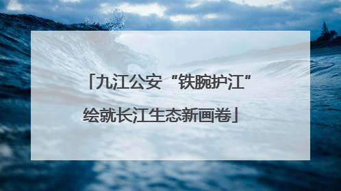 九江公安“铁腕护江”绘就长江生态新画卷