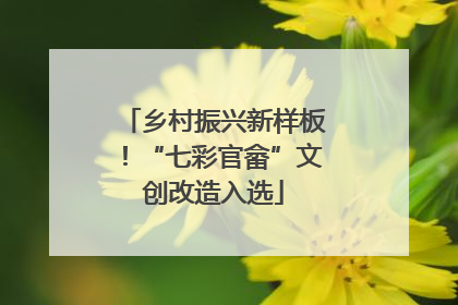乡村振兴新样板！“七彩官畲”文创改造入选