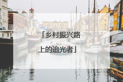 乡村振兴路上的追光者