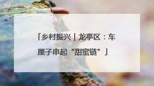 乡村振兴｜龙亭区：车厘子串起“甜蜜链”