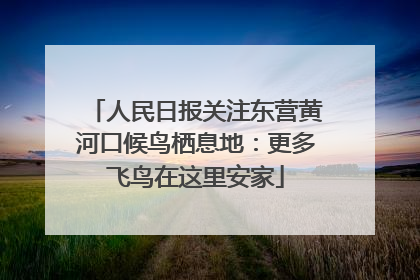 人民日报关注东营黄河口候鸟栖息地：更多飞鸟在这里安家