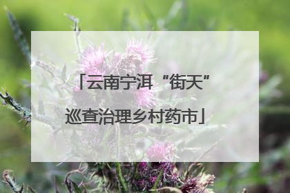云南宁洱“街天”巡查治理乡村药市