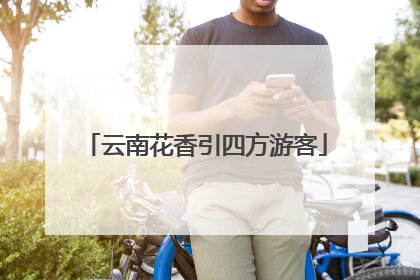 云南花香引四方游客