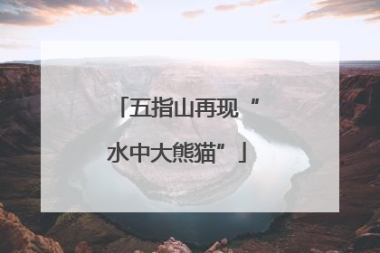 五指山再现“水中大熊猫”