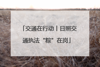 交通在行动丨日照交通执法“粽”在岗