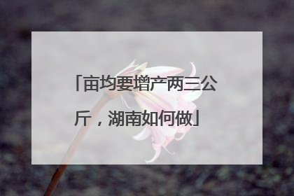 亩均要增产两三公斤，湖南如何做