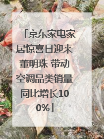 京东家电家居惊喜日迎来董明珠 带动空调品类销量同比增长100%