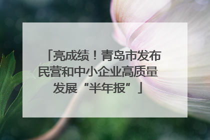 亮成绩！青岛市发布民营和中小企业高质量发展“半年报”