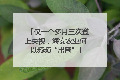 仅一个多月三次登上央视，海安农业何以频频“出圈”