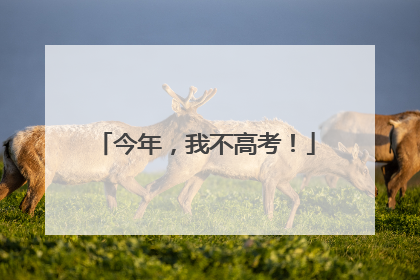 今年，我不高考！
