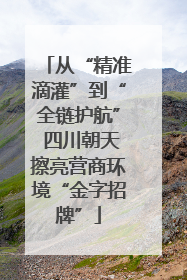 从“精准滴灌”到“全链护航” 四川朝天擦亮营商环境“金字招牌”