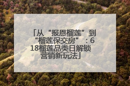 从“报恩榴莲”到“榴莲保交房”：618榴莲品类日解锁营销新玩法