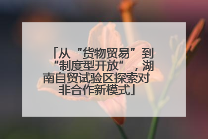 从“货物贸易”到“制度型开放”，湖南自贸试验区探索对非合作新模式