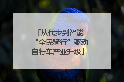 从代步到智能 “全民骑行”驱动自行车产业升级