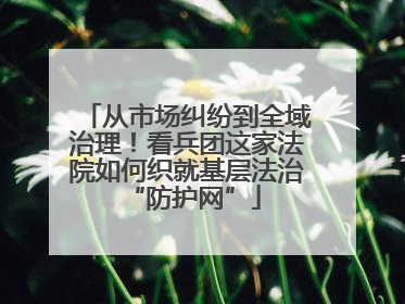 从市场纠纷到全域治理！看兵团这家法院如何织就基层法治 “防护网”