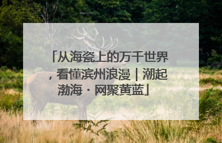 从海瓷上的万千世界，看懂滨州浪漫｜潮起渤海・网聚黄蓝