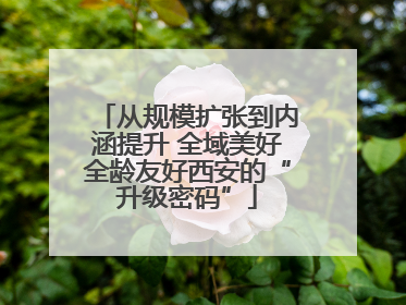 从规模扩张到内涵提升 全域美好全龄友好西安的“升级密码”