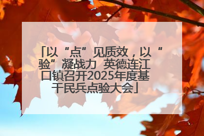 以“点”见质效，以“验”凝战力  英德连江口镇召开2025年度基干民兵点验大会