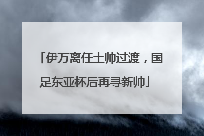 伊万离任土帅过渡，国足东亚杯后再寻新帅
