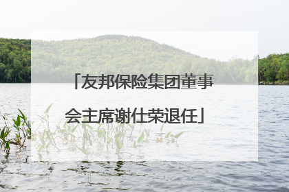 友邦保险集团董事会主席谢仕荣退任