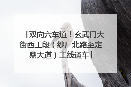 双向六车道！玄武门大街西工段（纱厂北路至定鼎大道）主线通车