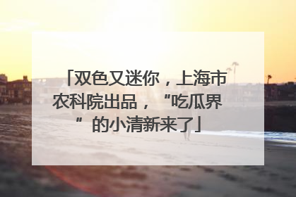 双色又迷你，上海市农科院出品，“吃瓜界”的小清新来了